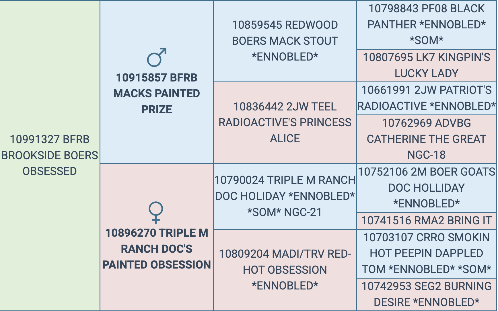 Screenshot 2025-09-11 at 3.54.21 PM