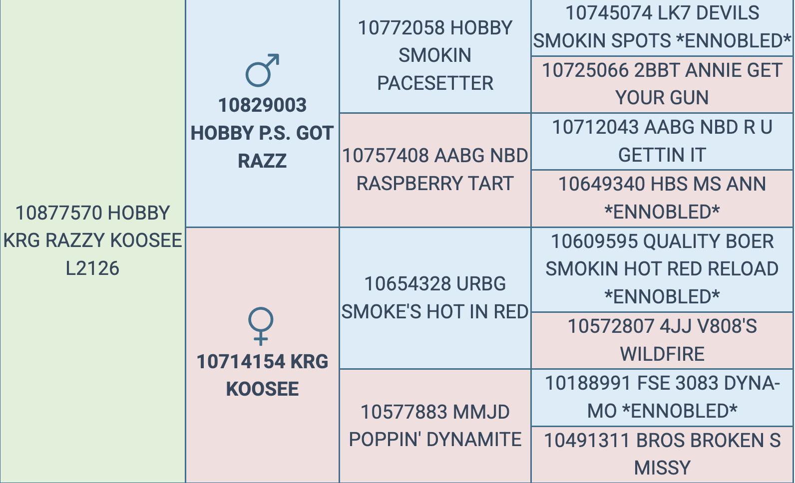 Screenshot 2025-09-14 at 12.13.31 PM