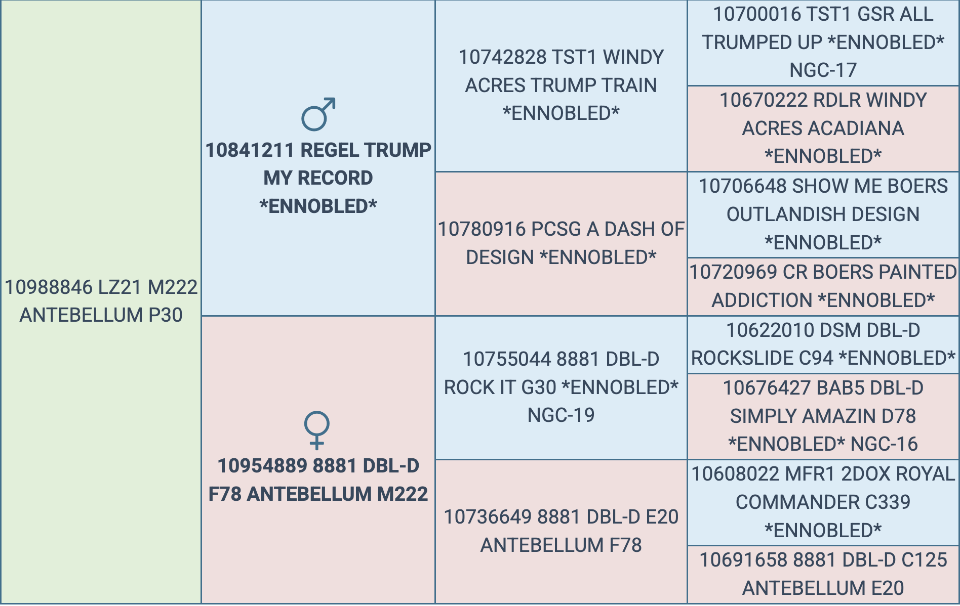 Screenshot 2025-09-14 at 8.59.44 PM