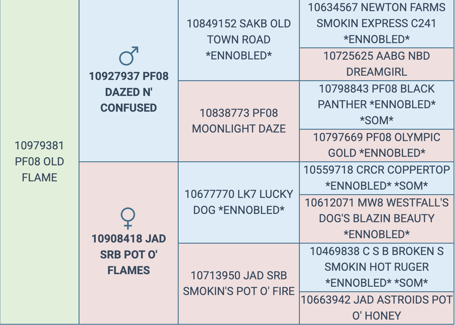 Screenshot 2025-09-15 at 8.12.12 PM