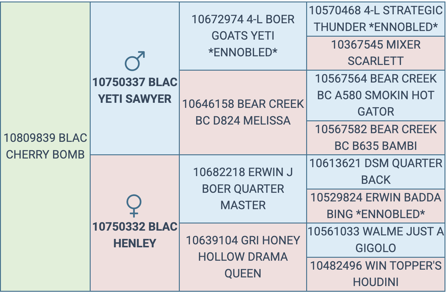 Screenshot 2025-09-19 at 11.33.45 AM