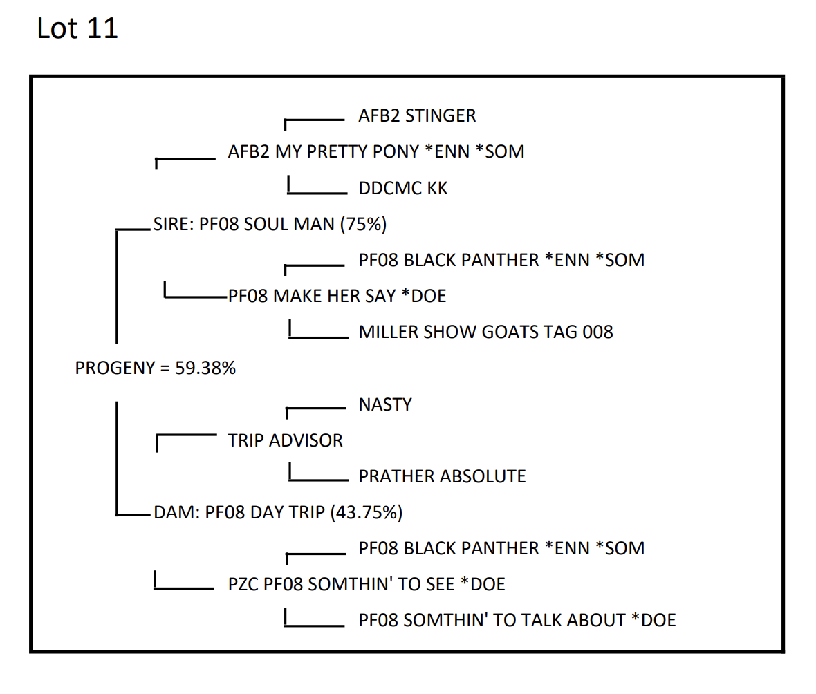 Screenshot 2025-09-19 at 12.41.29 PM