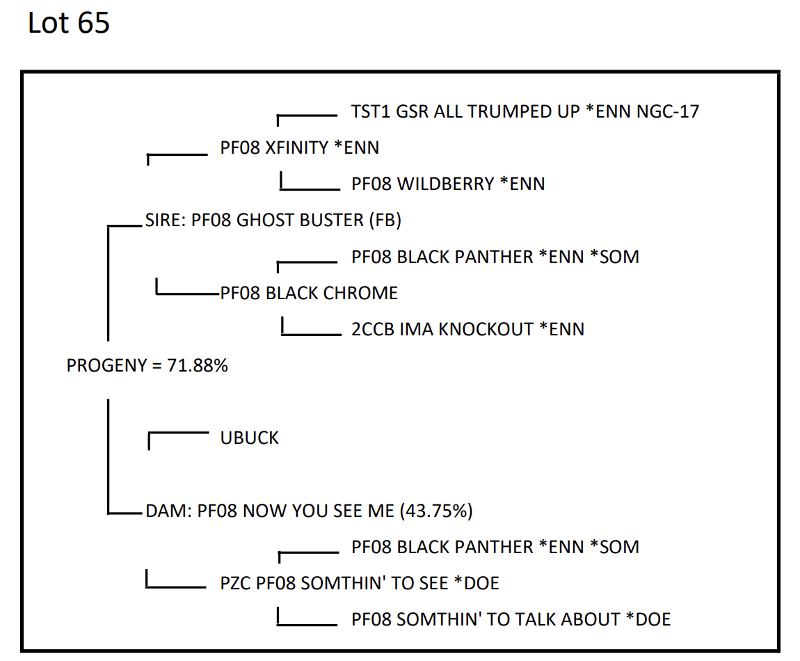 Screenshot 2025-09-20 at 2.55.05 PM
