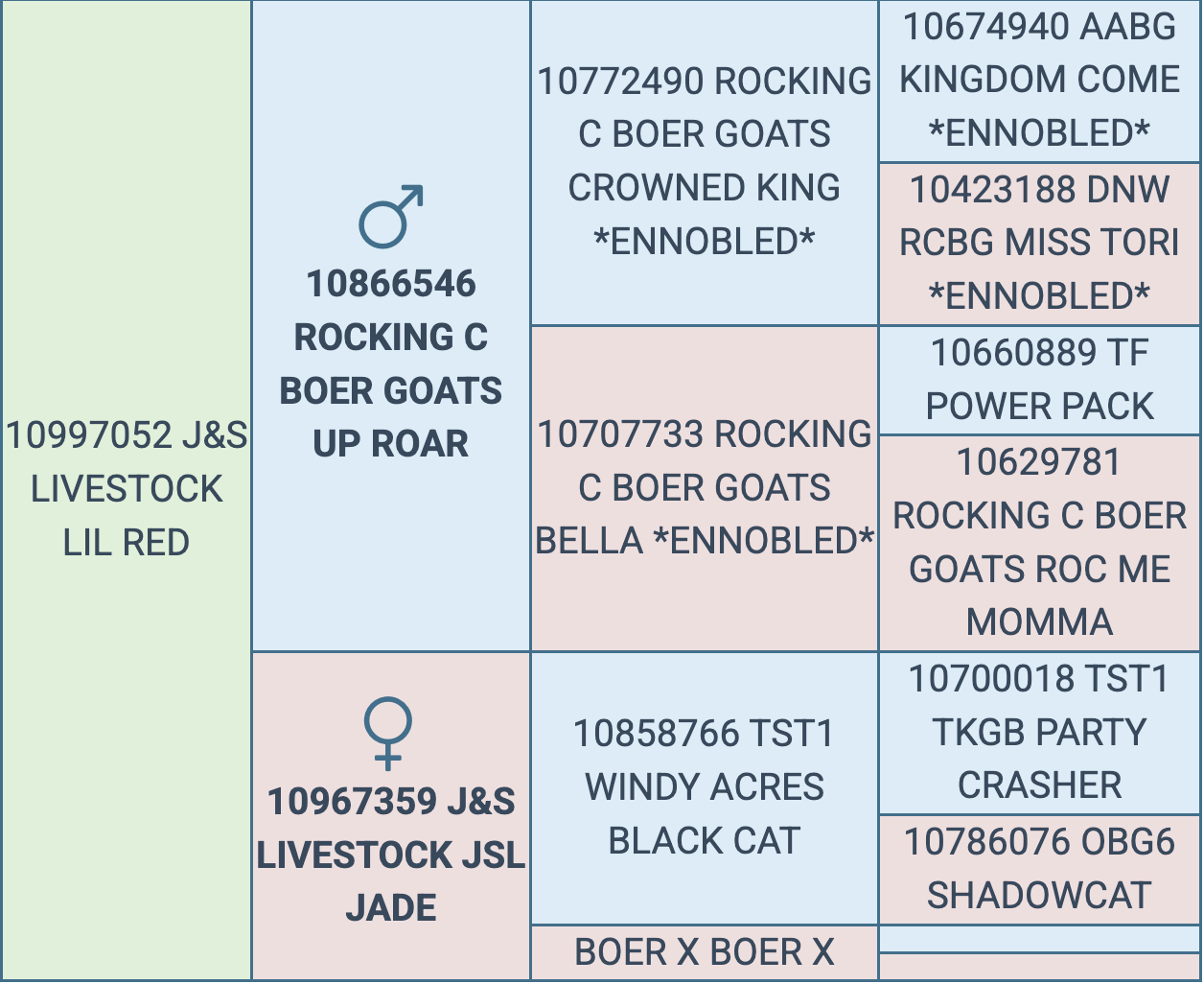 Screenshot 2025-09-24 at 1.01.11 PM