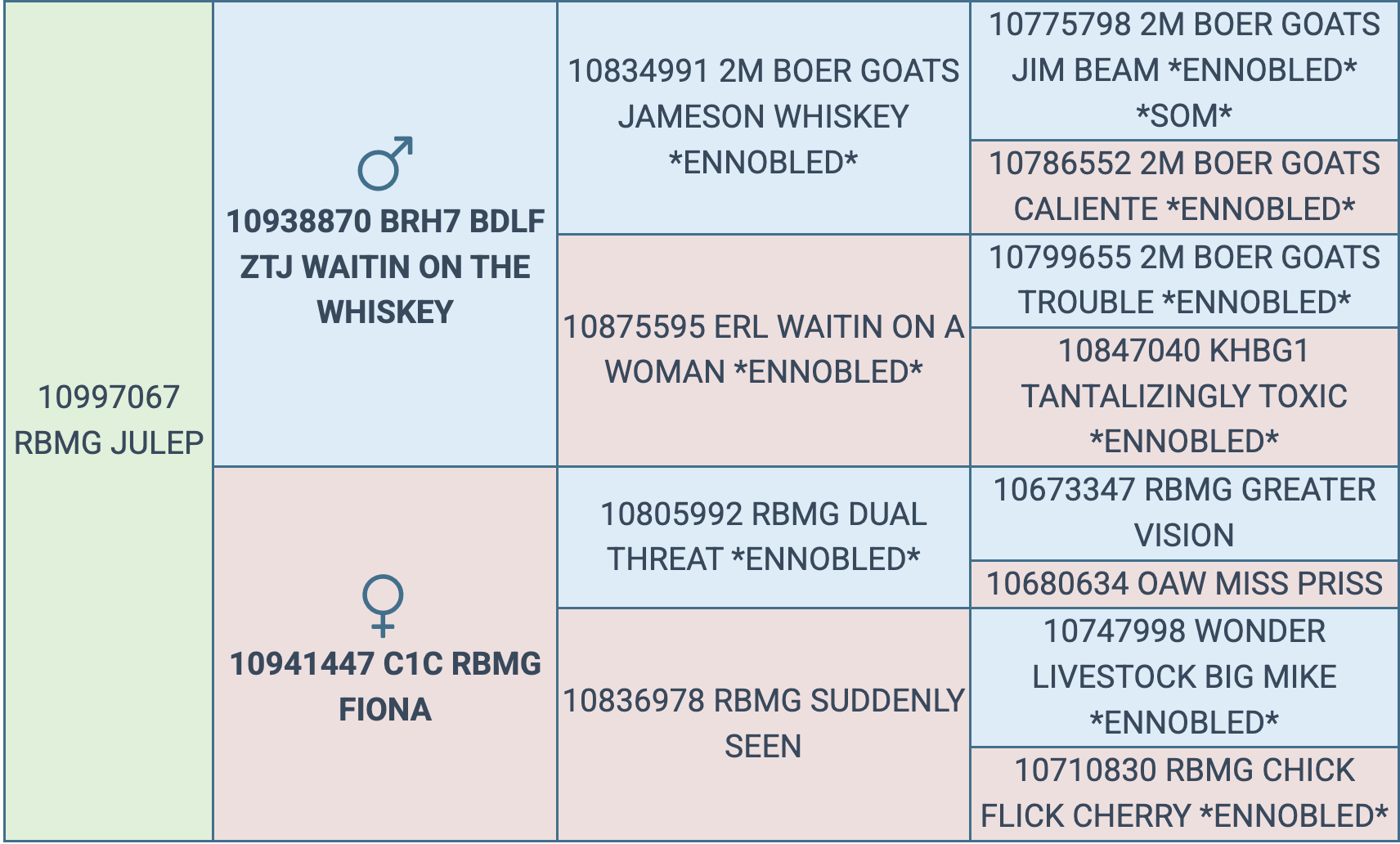 Screenshot 2025-09-24 at 10.06.54 PM