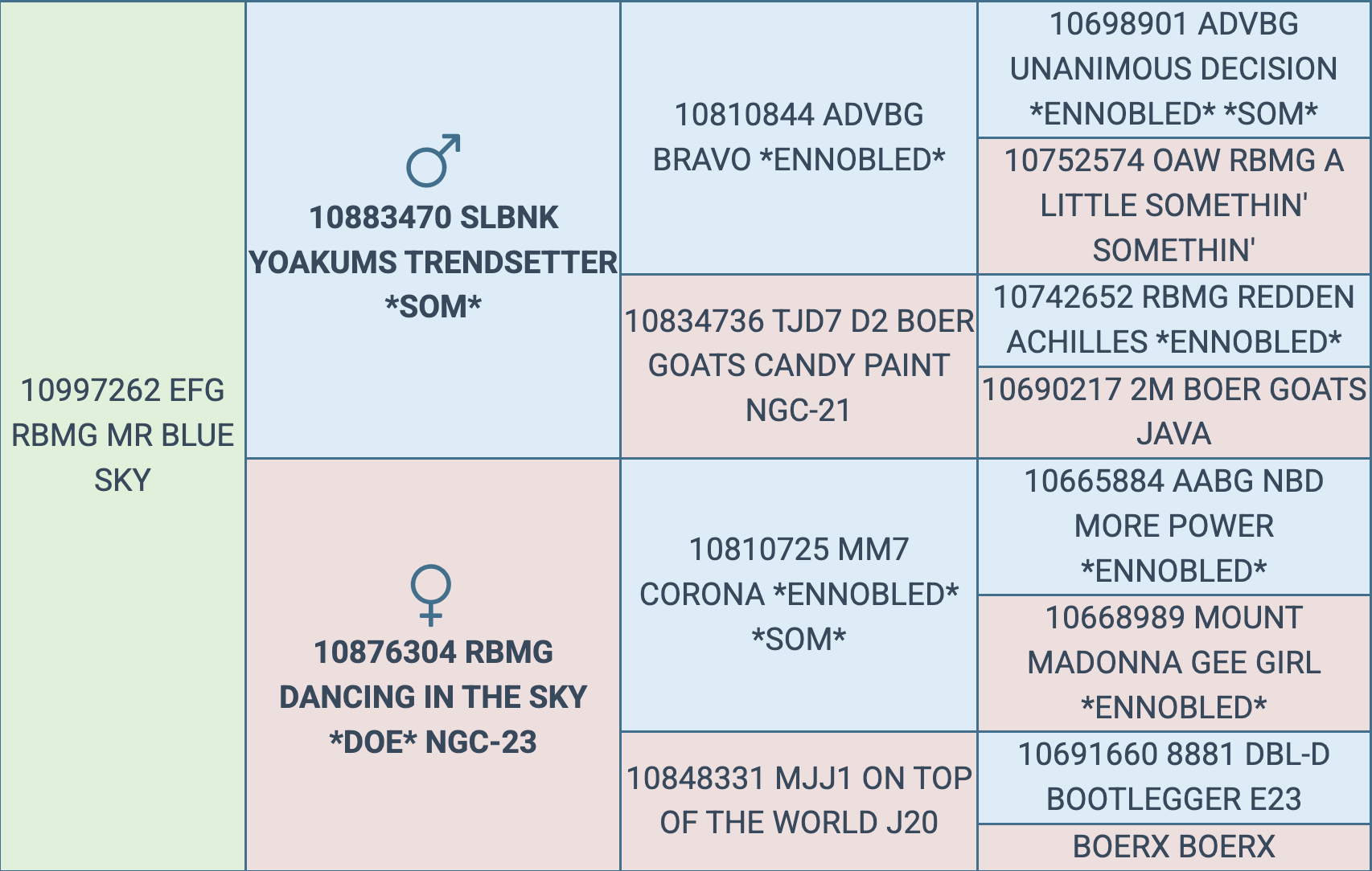 Screenshot 2025-09-24 at 10.10.13 PM