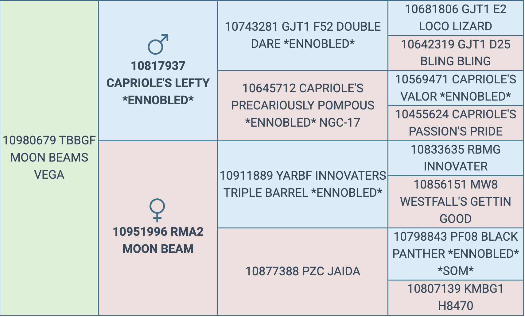 Screenshot 2025-09-24 at 9.42.31 PM