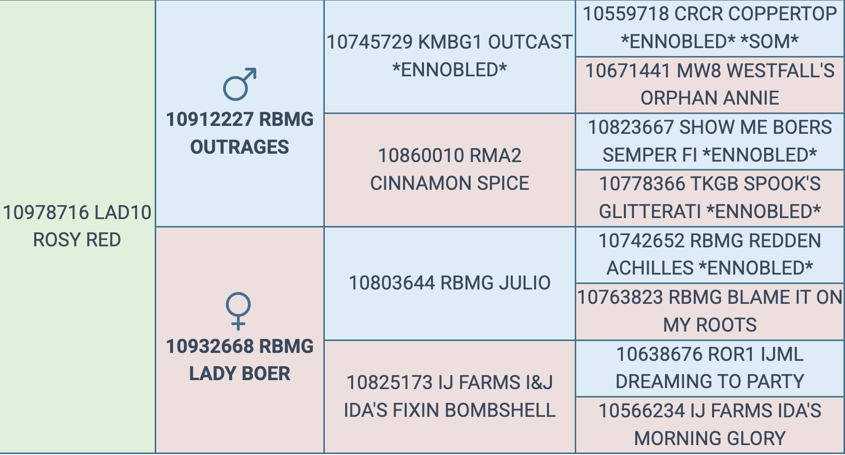 Screenshot 2025-09-24 at 9.59.47 PM