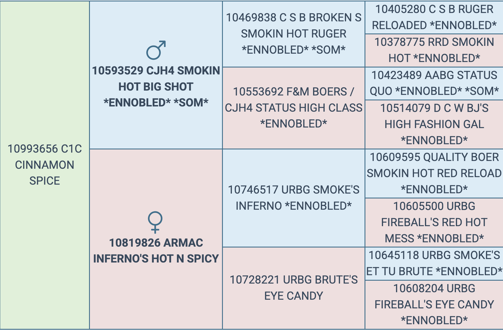 Screenshot 2025-09-29 at 6.44.37 PM