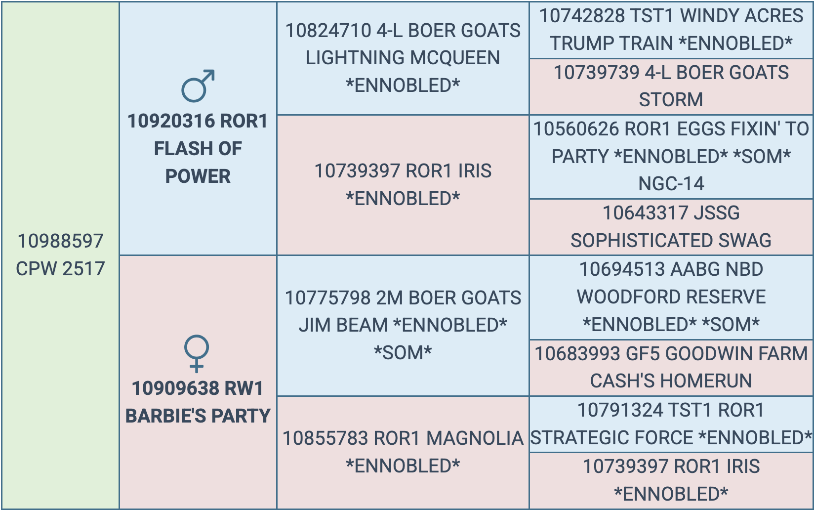 Screenshot 2025-09-29 at 9.09.23 PM