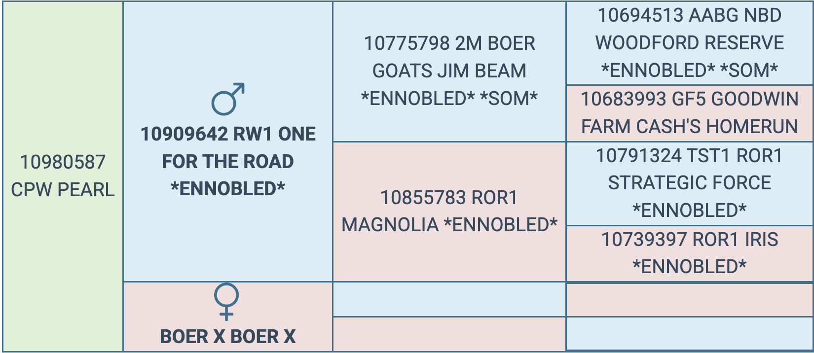 Screenshot 2025-09-29 at 9.13.03 PM