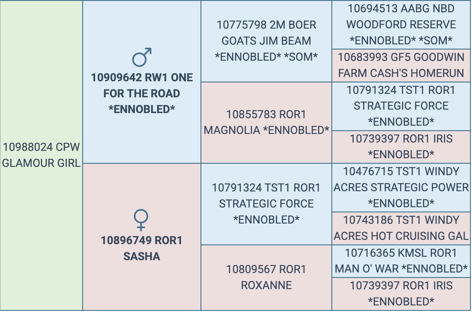 Screenshot 2025-09-29 at 9.17.43 PM