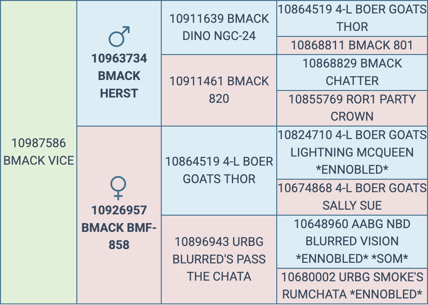 Screenshot 2025-10-01 at 3.19.50 PM