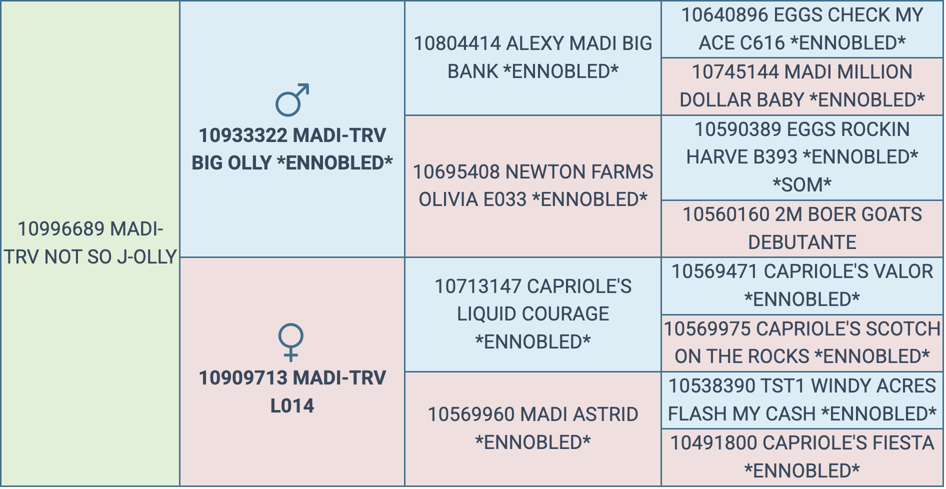 Screenshot 2025-10-03 at 7.37.00 PM