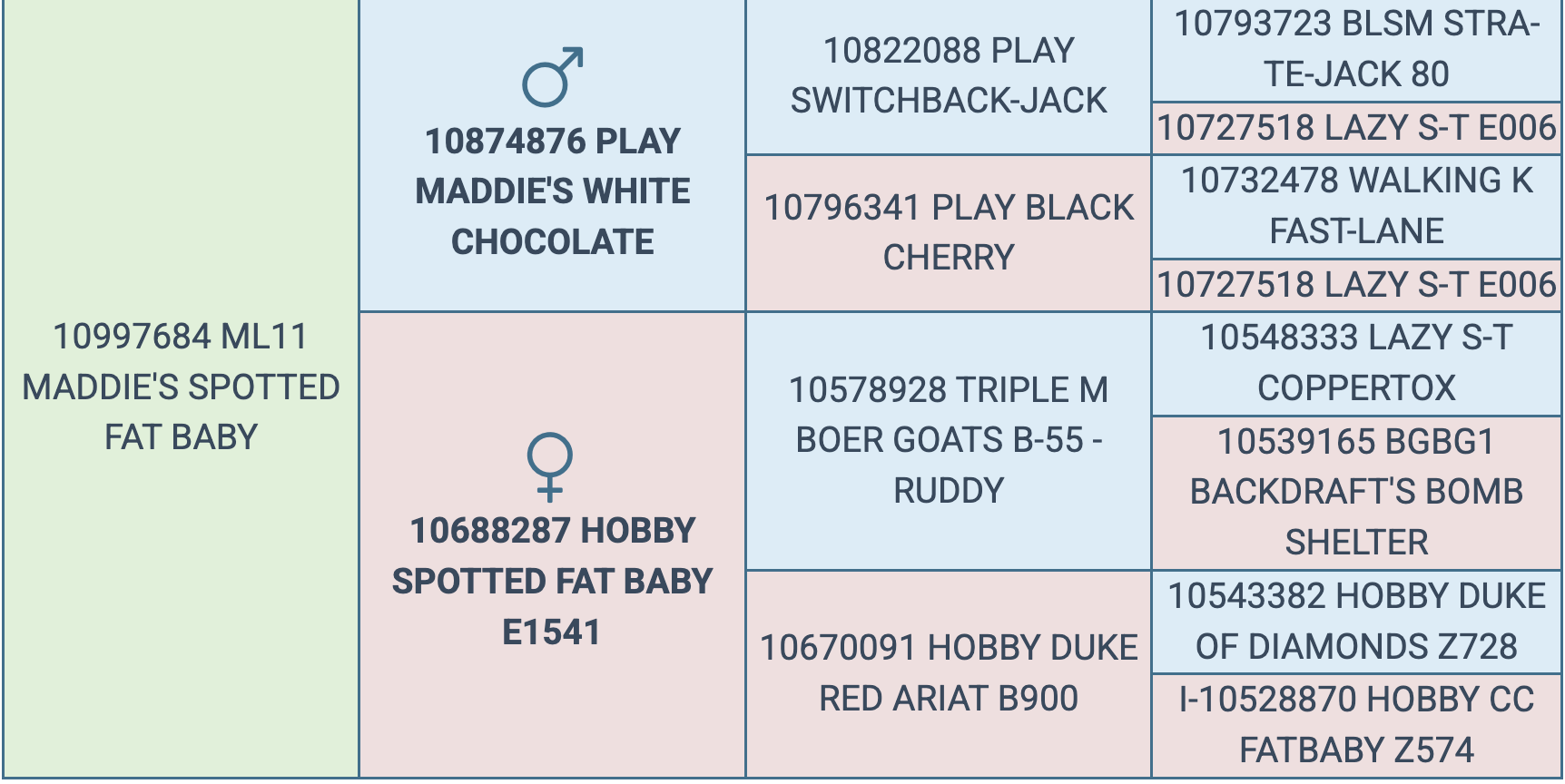 Screenshot 2025-10-04 at 6.15.21 PM