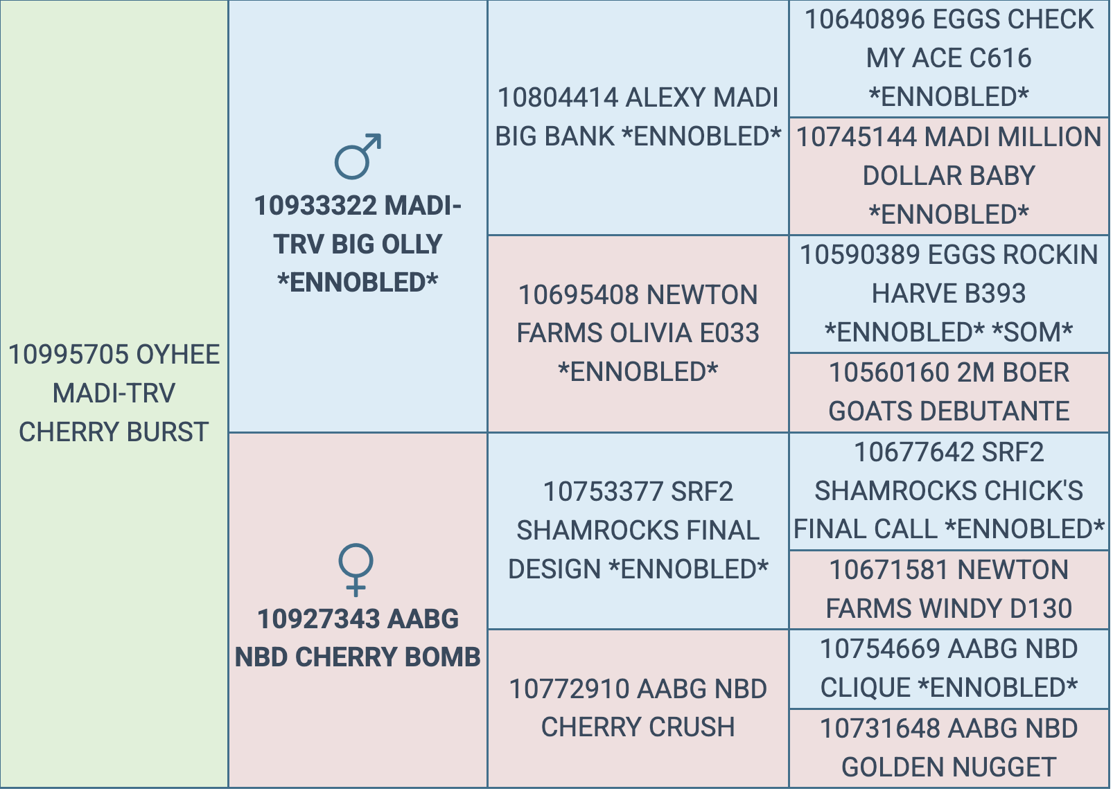 Screenshot 2025-10-06 at 9.35.50 AM