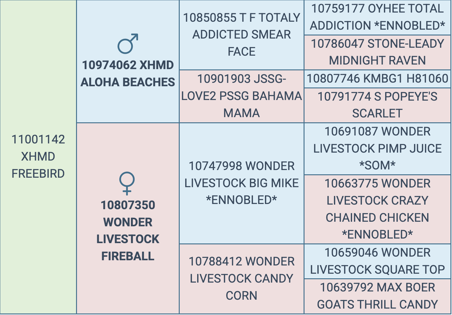 Screenshot 2026-03-06 at 1.05.18 PM