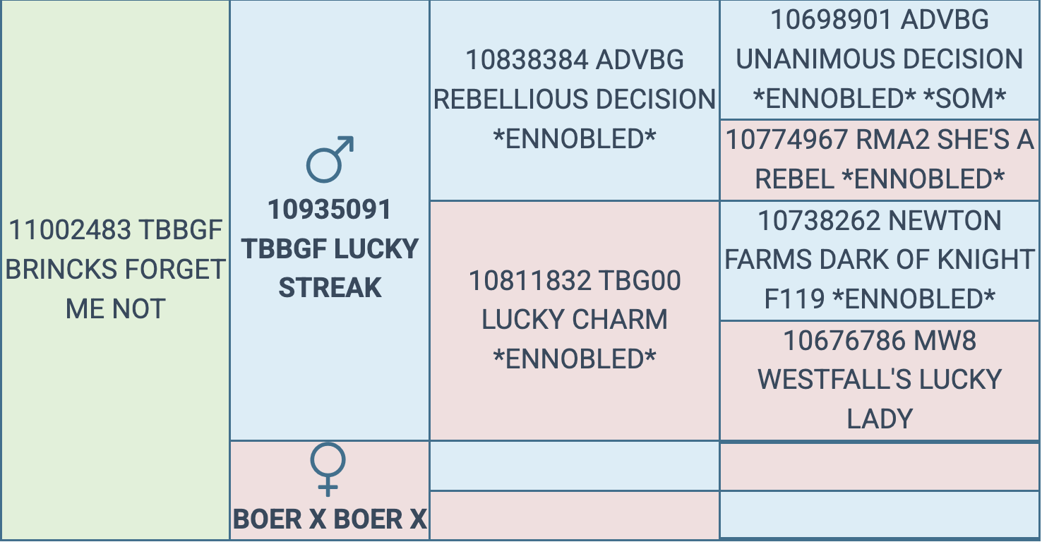 Screenshot 2026-03-06 at 12.14.30 PM