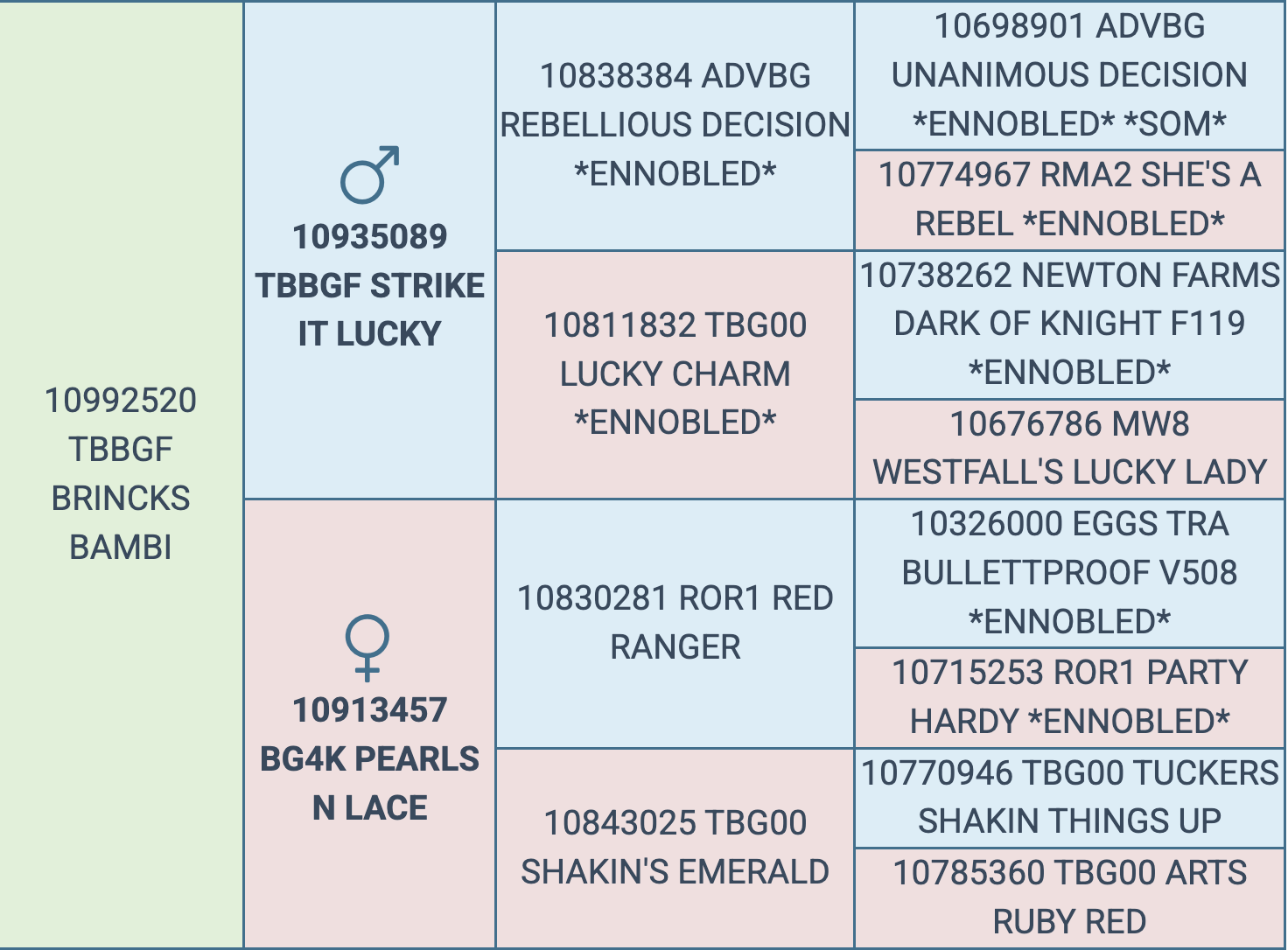 Screenshot 2026-03-06 at 12.19.39 PM