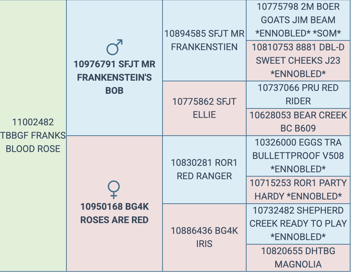 Screenshot 2026-03-06 at 12.24.02 PM