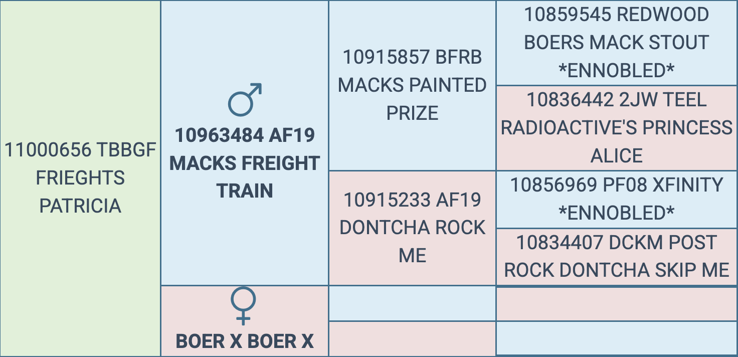 Screenshot 2026-03-06 at 12.32.50 PM