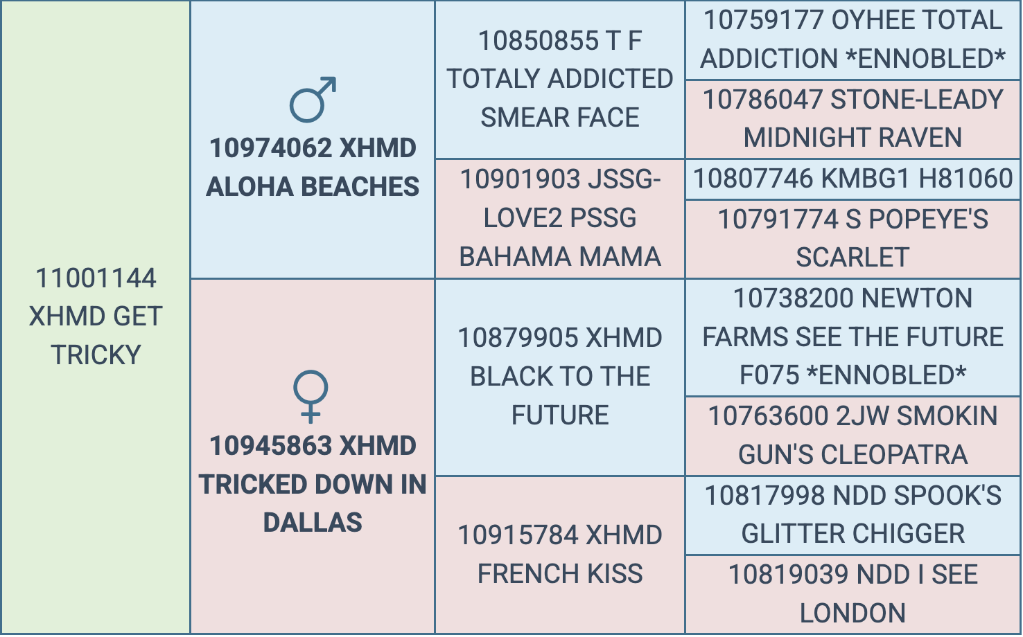 Screenshot 2026-03-06 at 12.48.35 PM