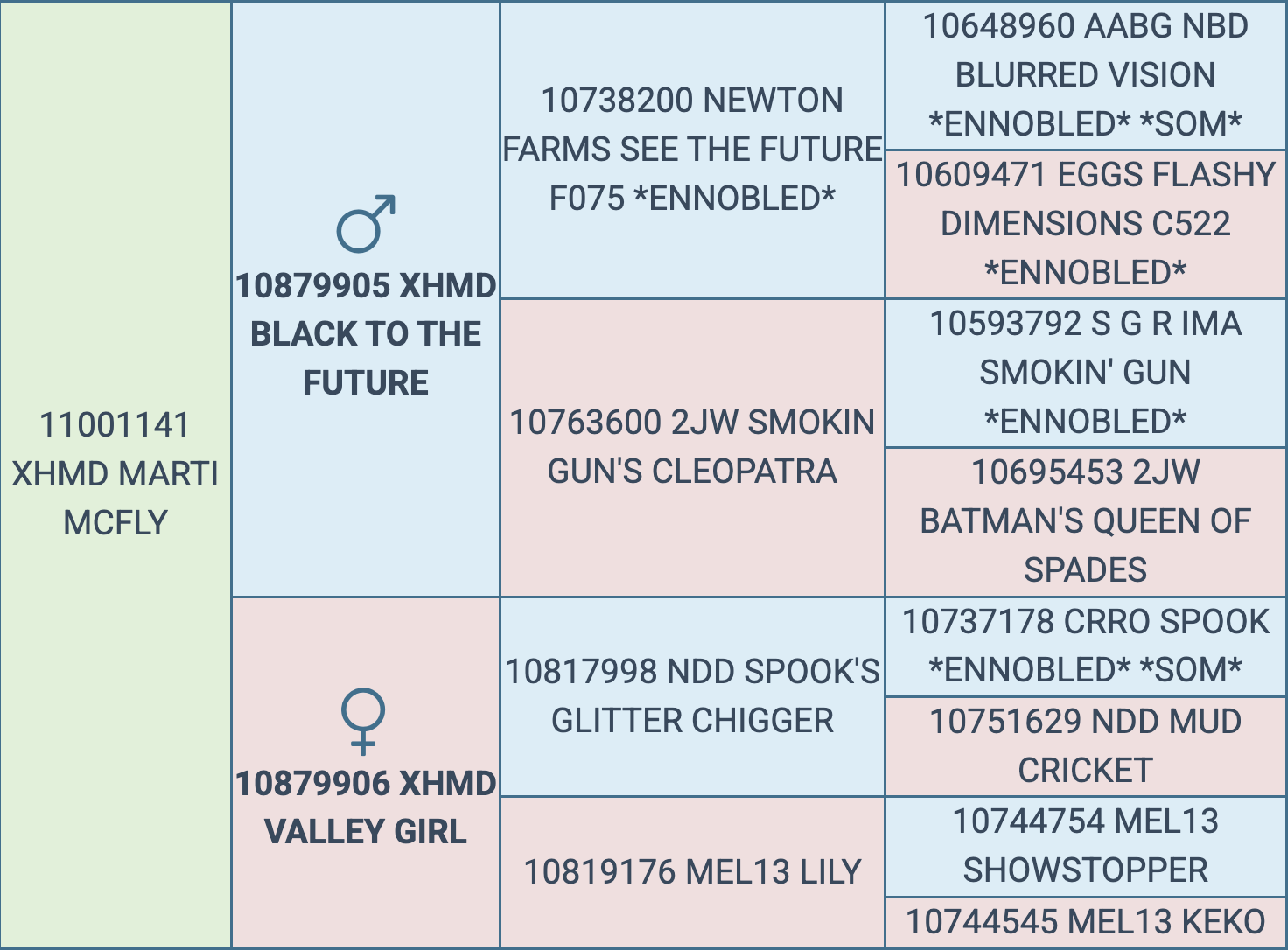 Screenshot 2026-03-06 at 12.52.38 PM