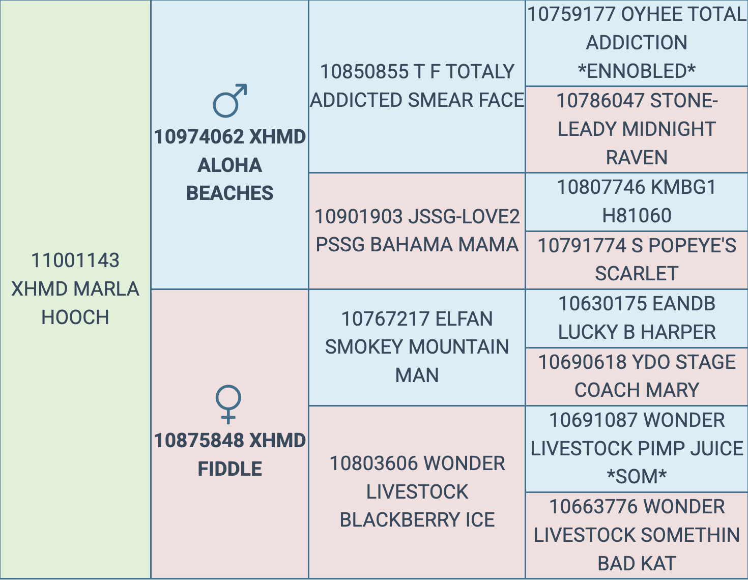 Screenshot 2026-03-06 at 12.58.42 PM