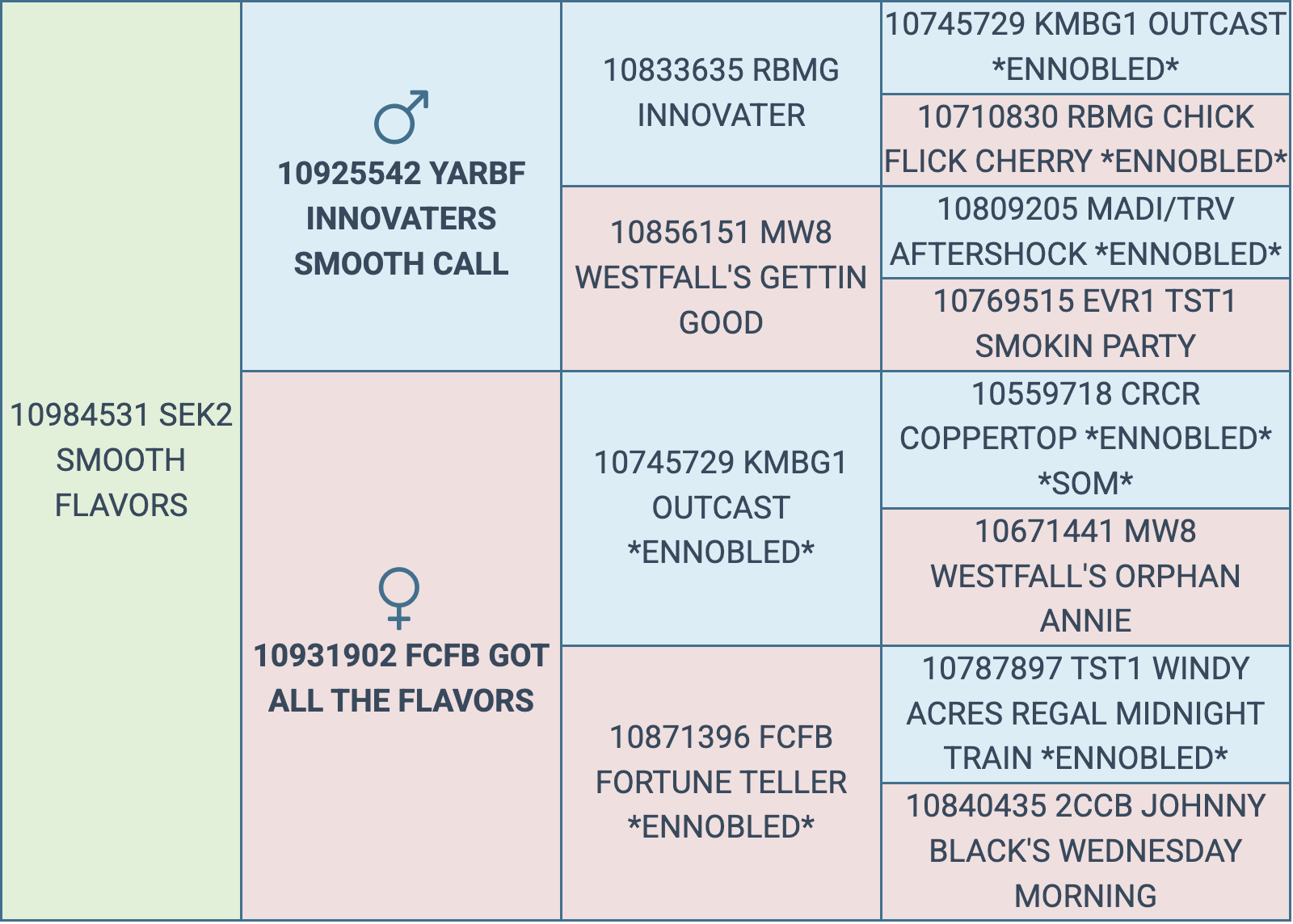 Screenshot 2026-03-07 at 5.04.55 PM