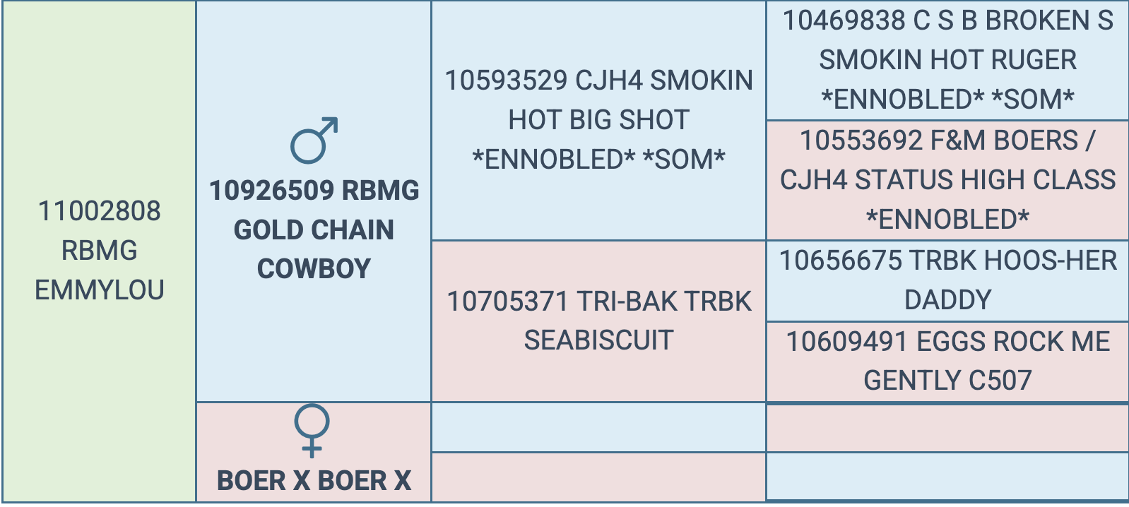 Screenshot 2026-03-07 at 5.11.40 PM