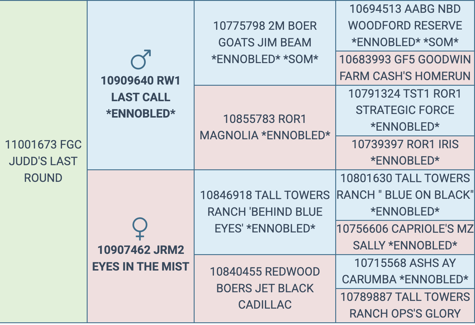 Screenshot 2026-03-07 at 5.29.37 PM