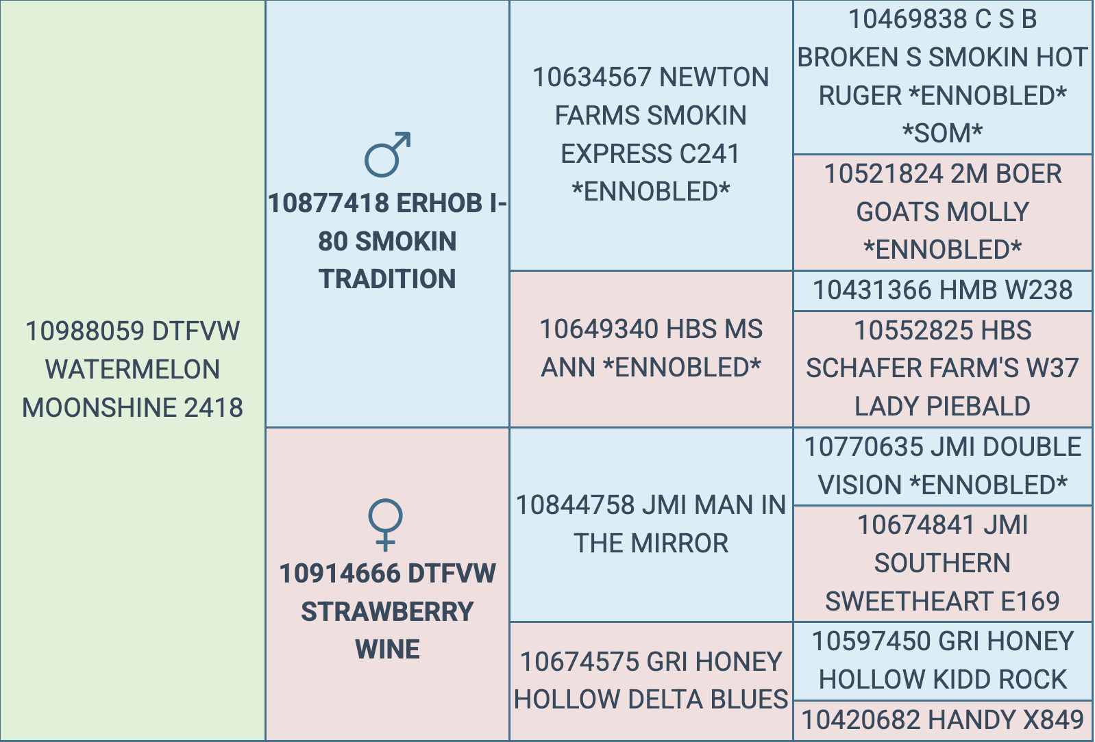 Screenshot 2026-03-07 at 5.35.28 PM