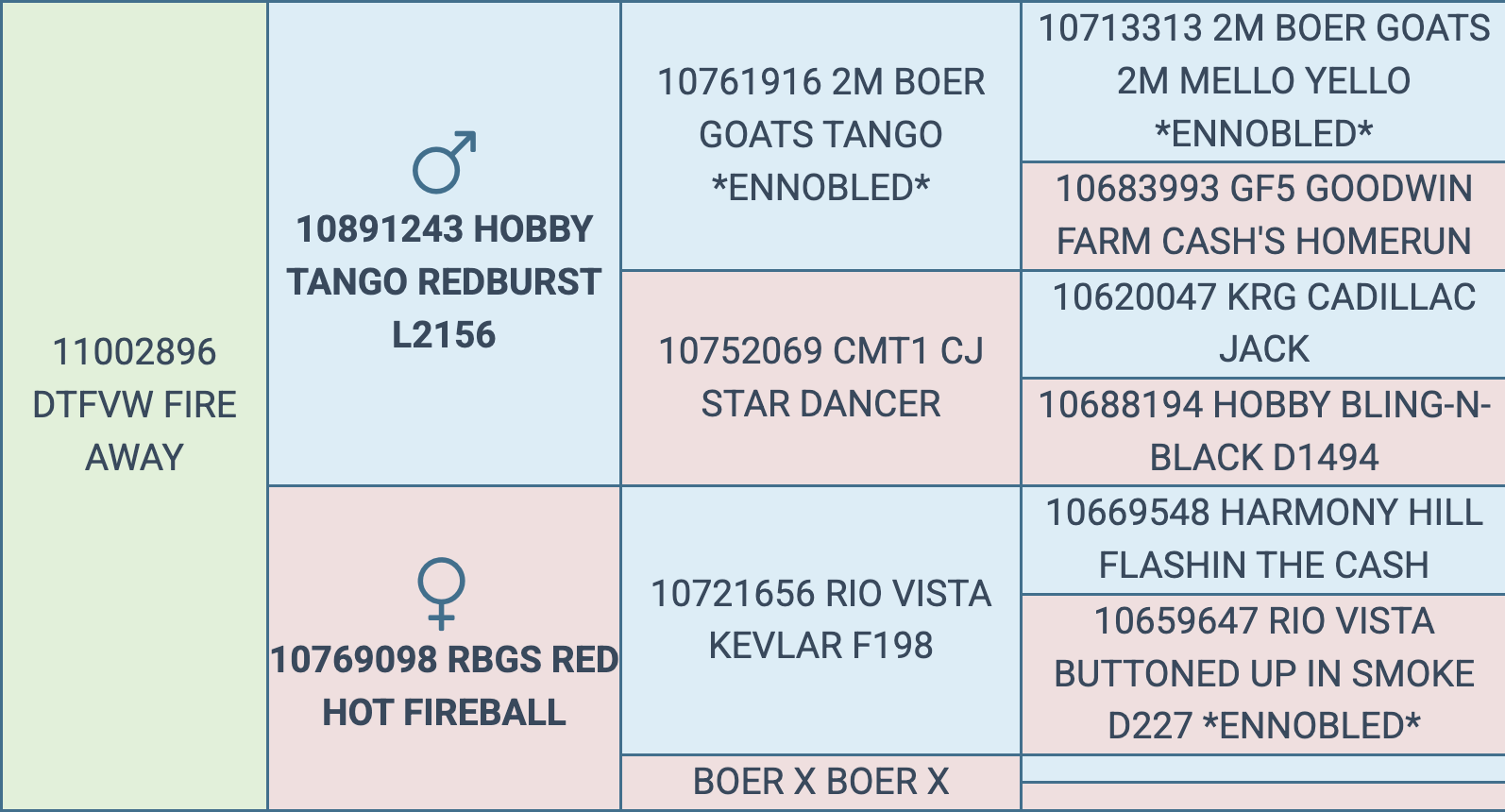 Screenshot 2026-03-07 at 5.40.21 PM