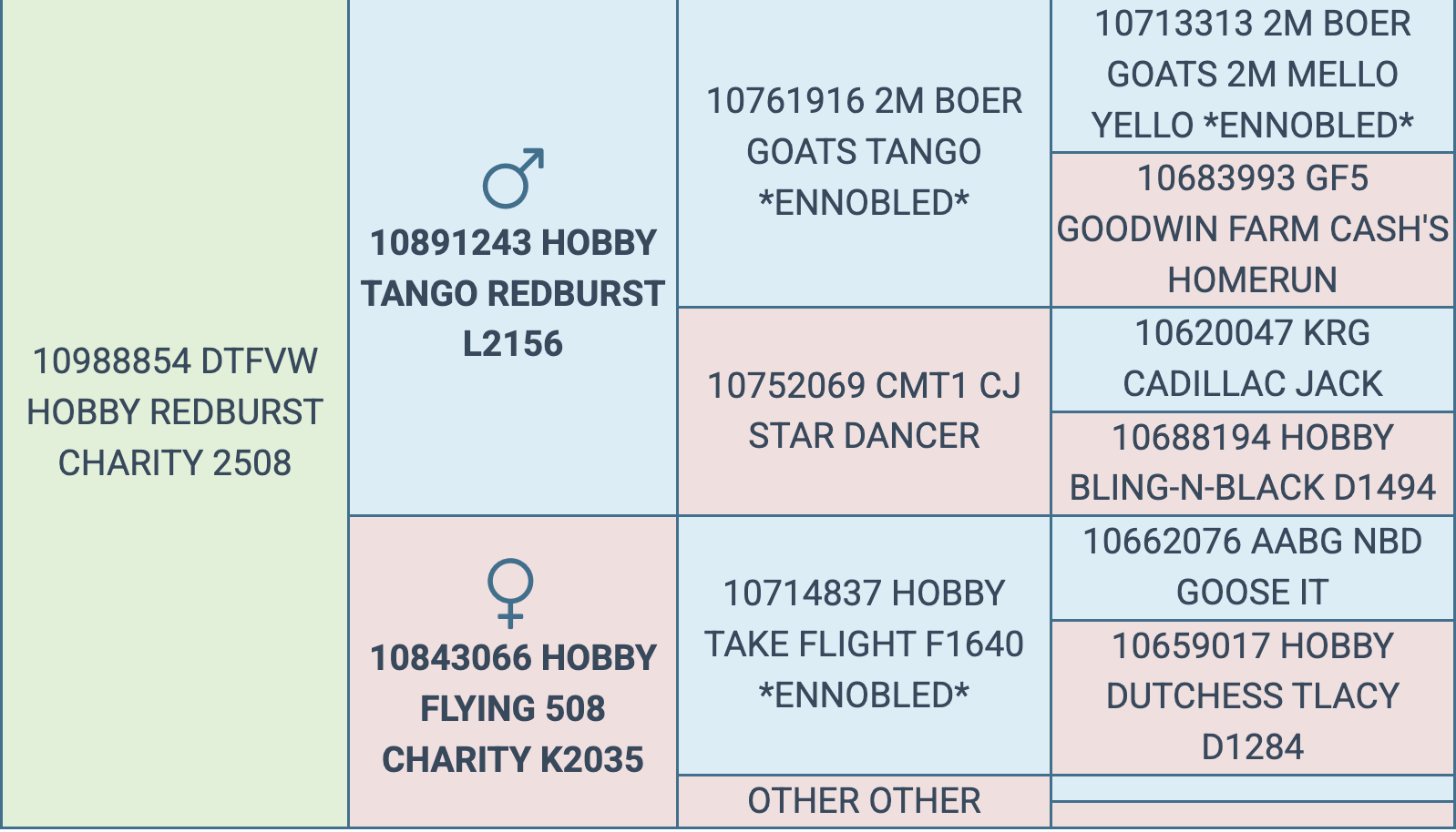 Screenshot 2026-03-07 at 5.44.24 PM