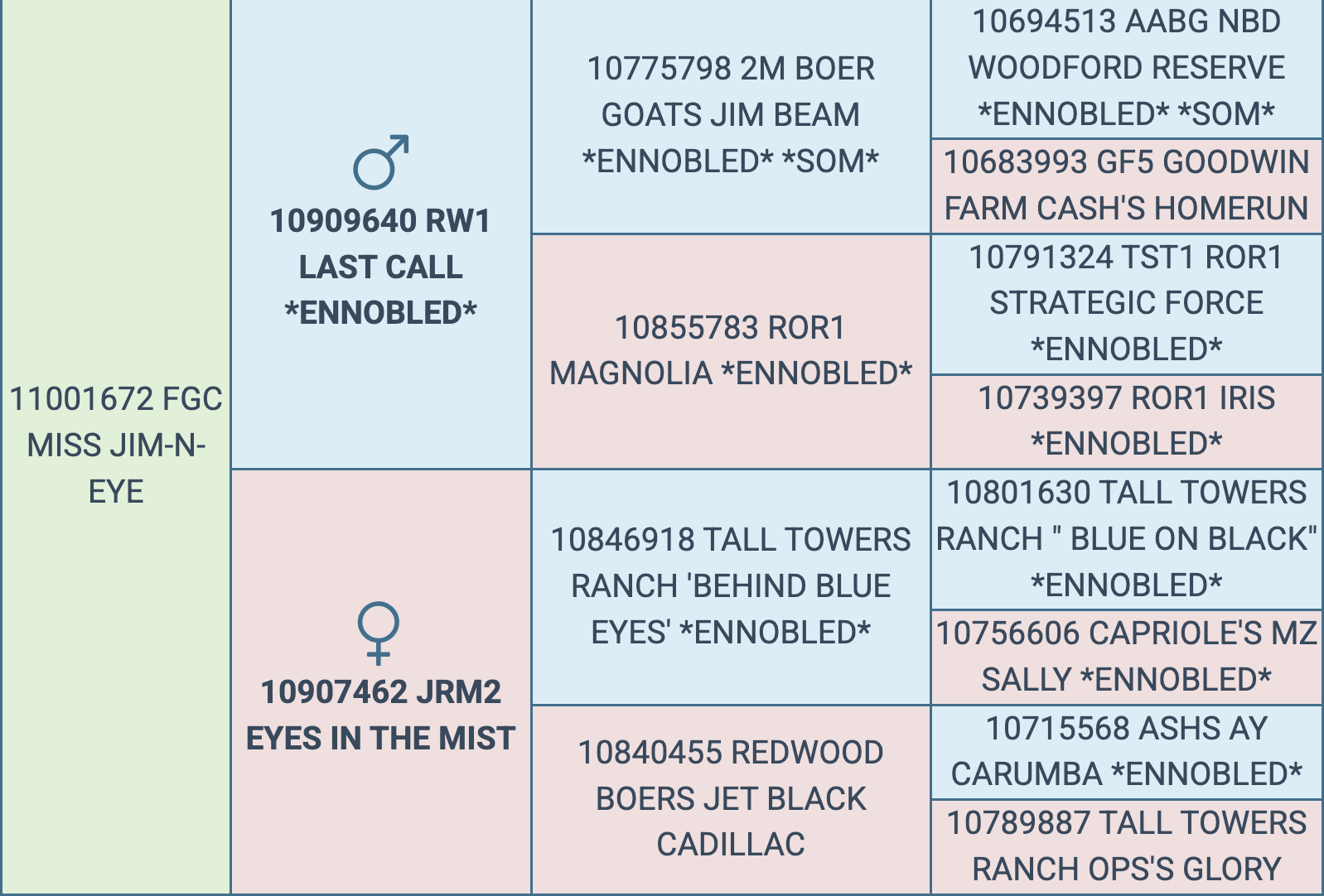 Screenshot 2026-03-07 at 5.48.38 PM