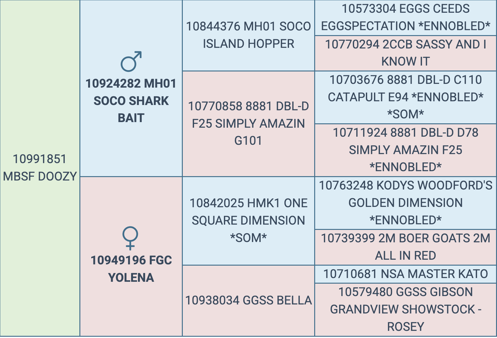 Screenshot 2026-03-07 at 5.55.47 PM