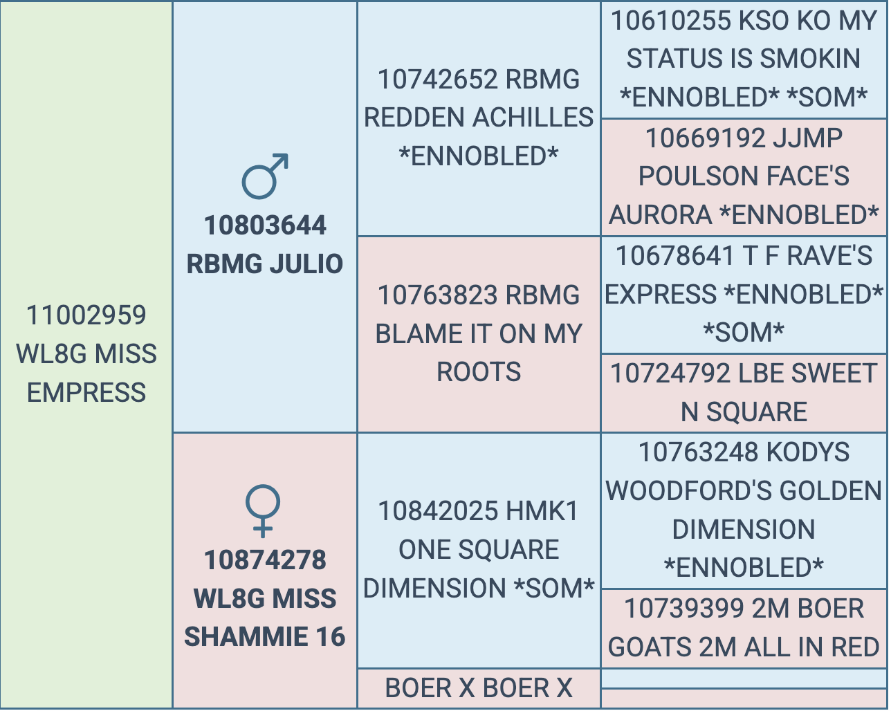 Screenshot 2026-03-10 at 3.02.58 PM