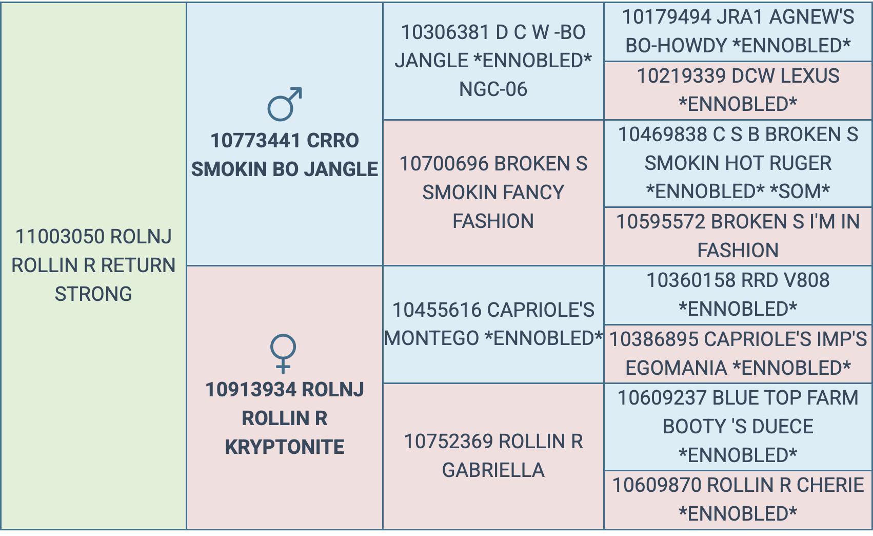 Screenshot 2026-03-10 at 6.31.47 PM