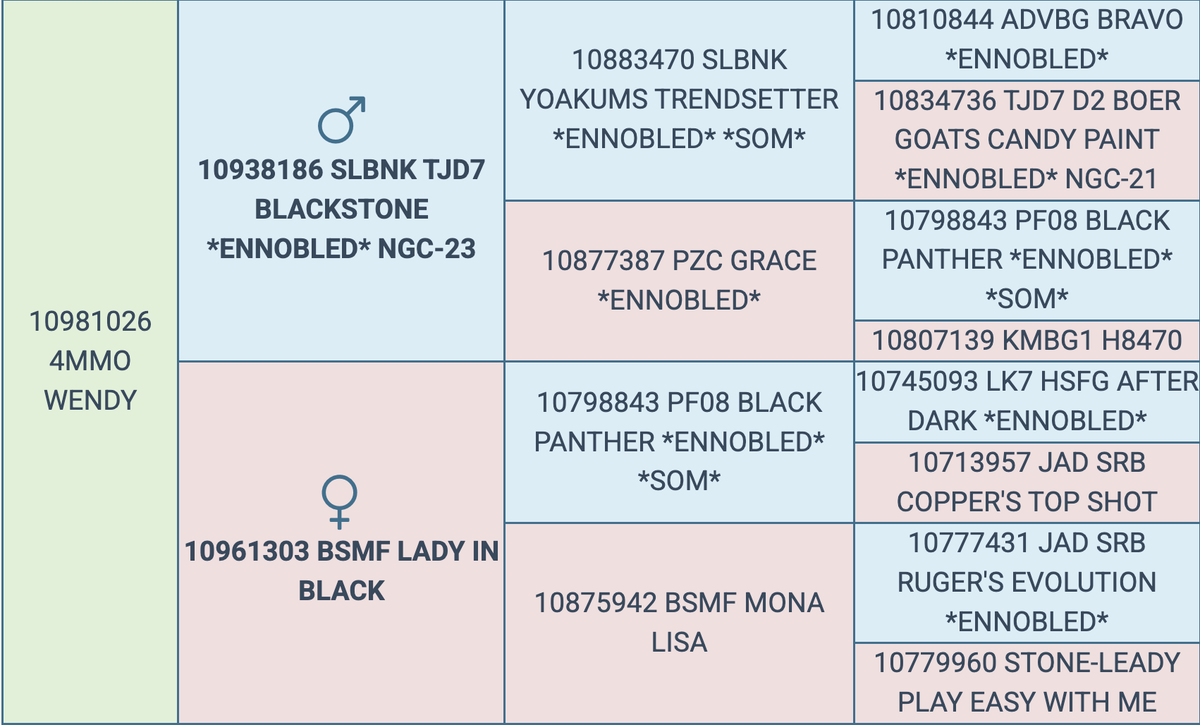 Screenshot 2026-03-10 at 6.37.28 PM