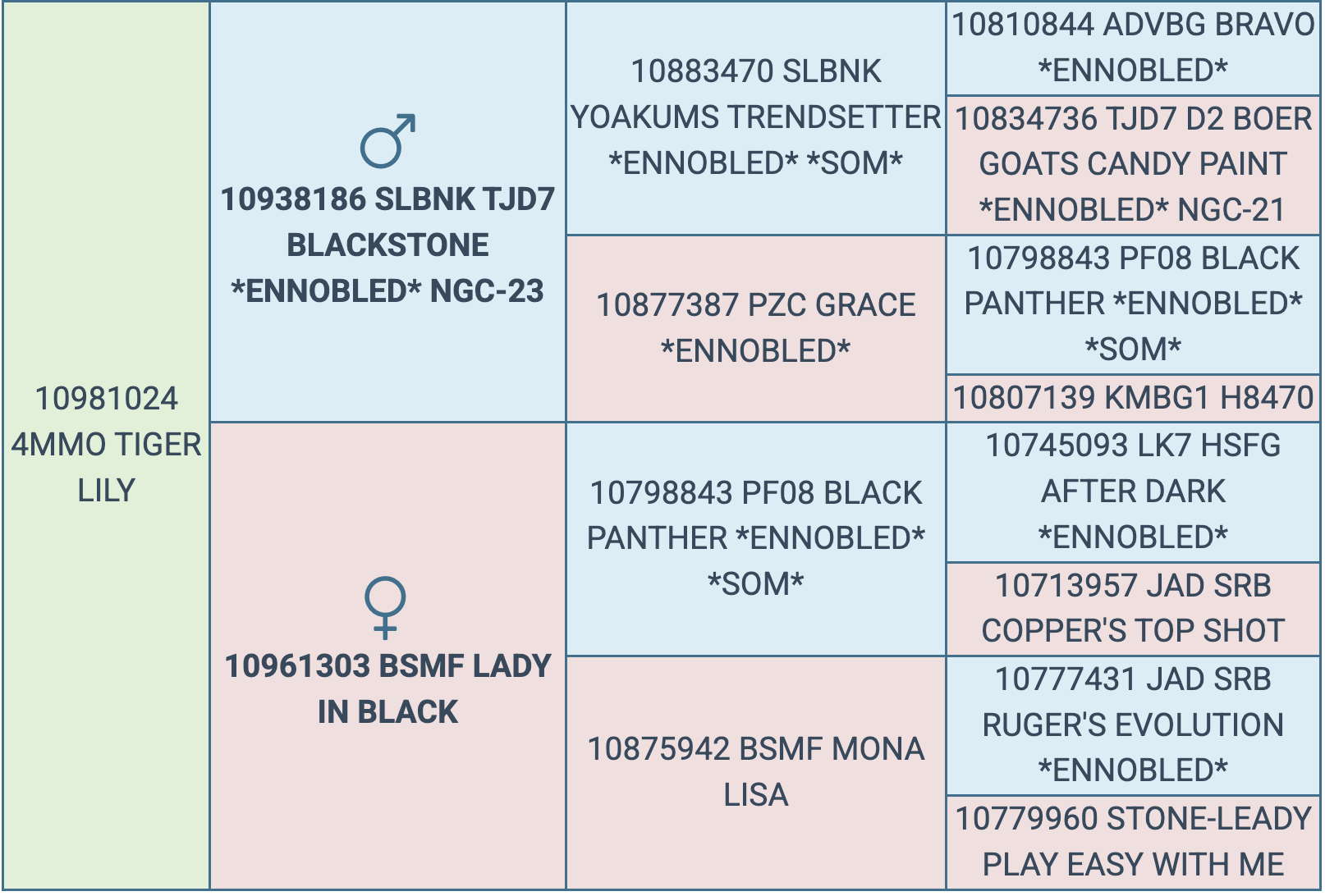 Screenshot 2026-03-10 at 6.46.34 PM