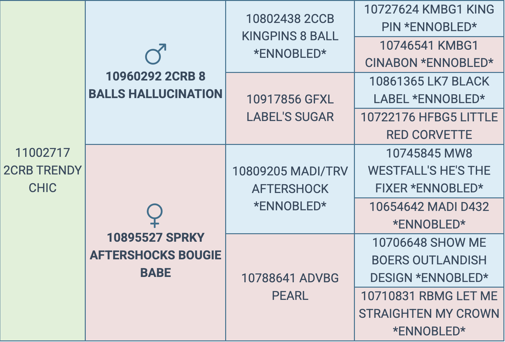 Screenshot 2026-03-10 at 6.58.48 PM