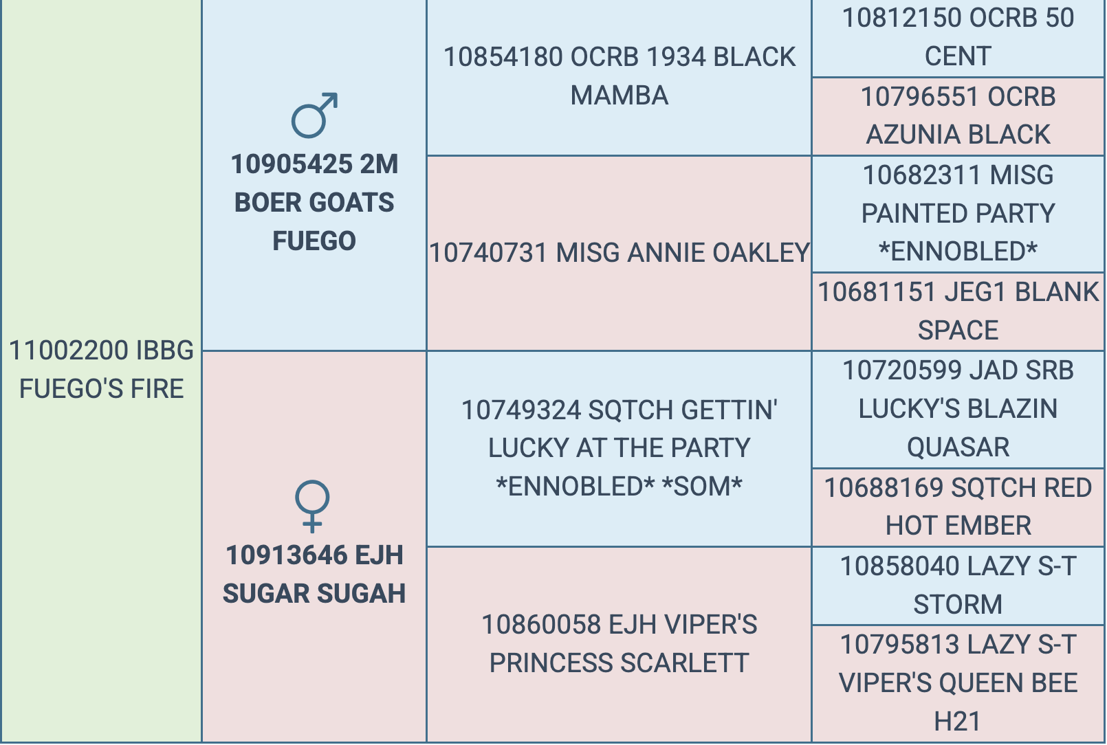 Screenshot 2026-03-10 at 7.16.25 PM