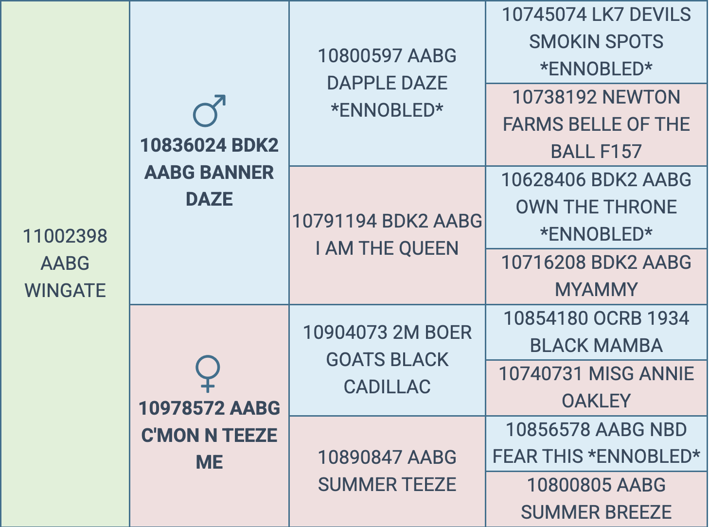 Screenshot 2026-03-11 at 12.17.49 PM