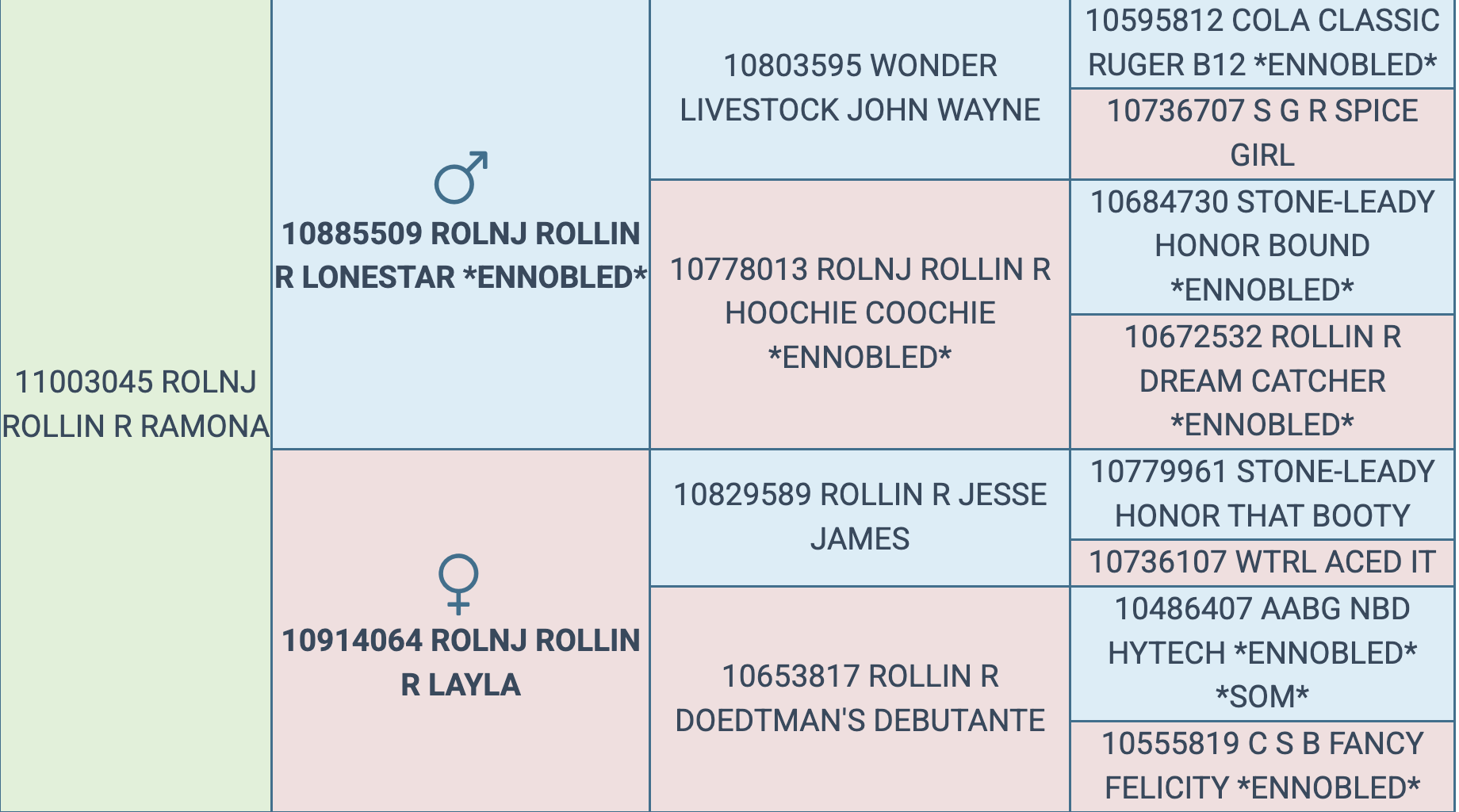 Screenshot 2026-03-12 at 5.11.24 PM