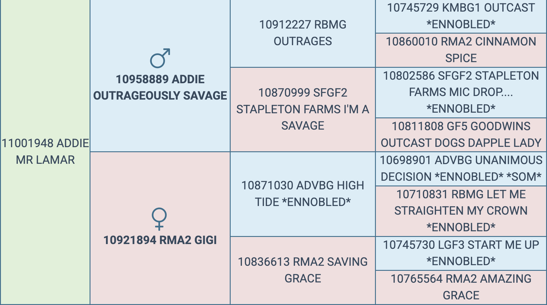 Screenshot 2026-03-12 at 5.14.28 PM