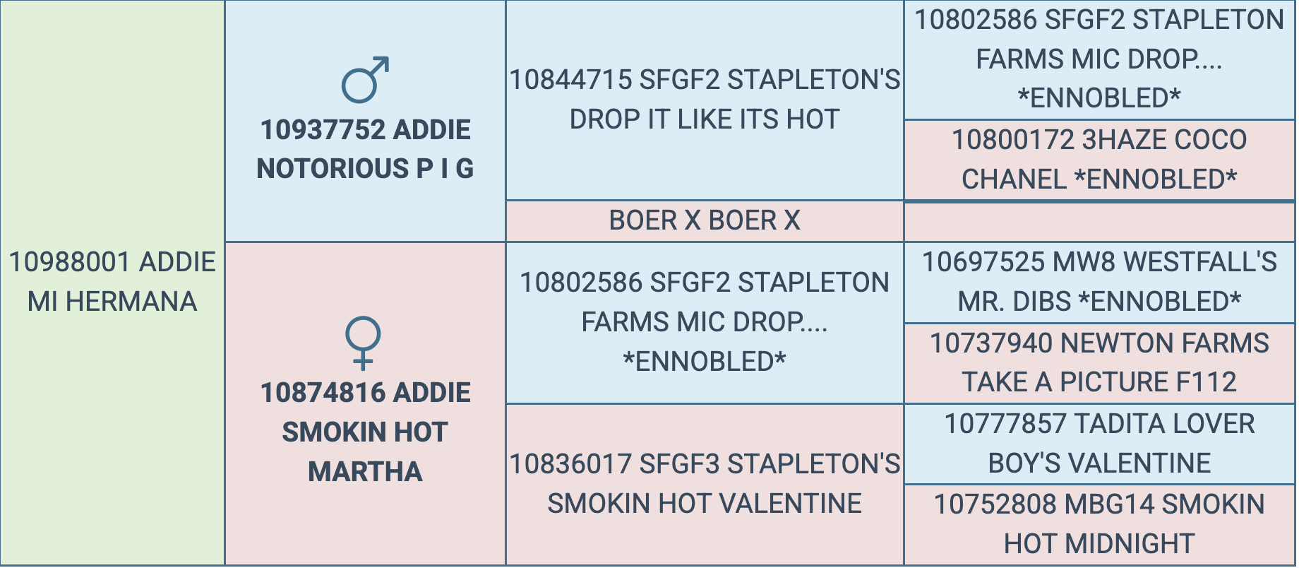 Screenshot 2026-03-12 at 5.18.35 PM