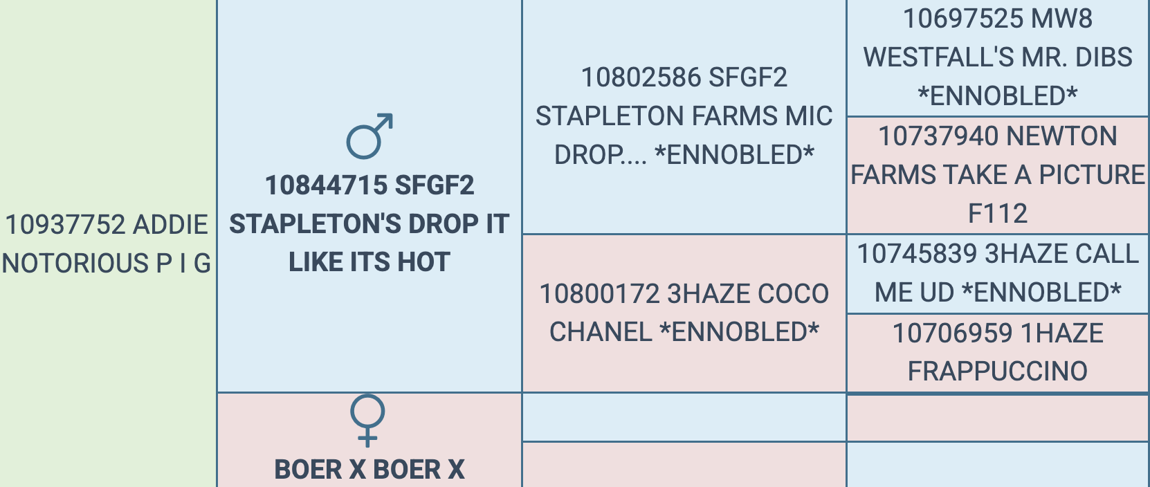 Screenshot 2026-03-12 at 5.21.53 PM