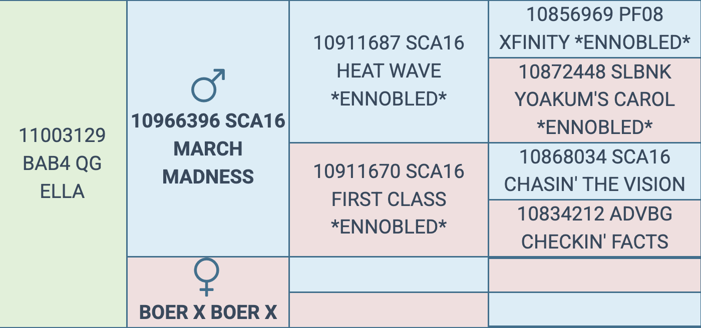 Screenshot 2026-03-12 at 5.27.09 PM