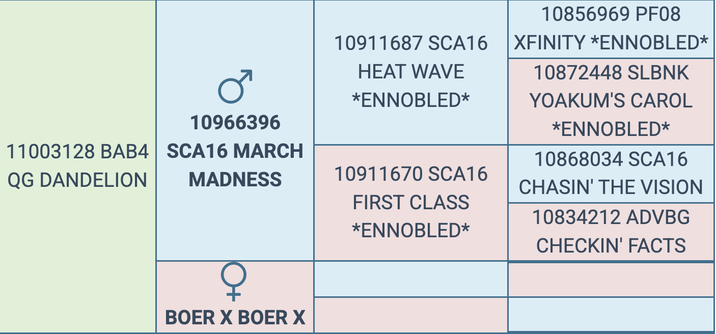 Screenshot 2026-03-12 at 5.31.11 PM