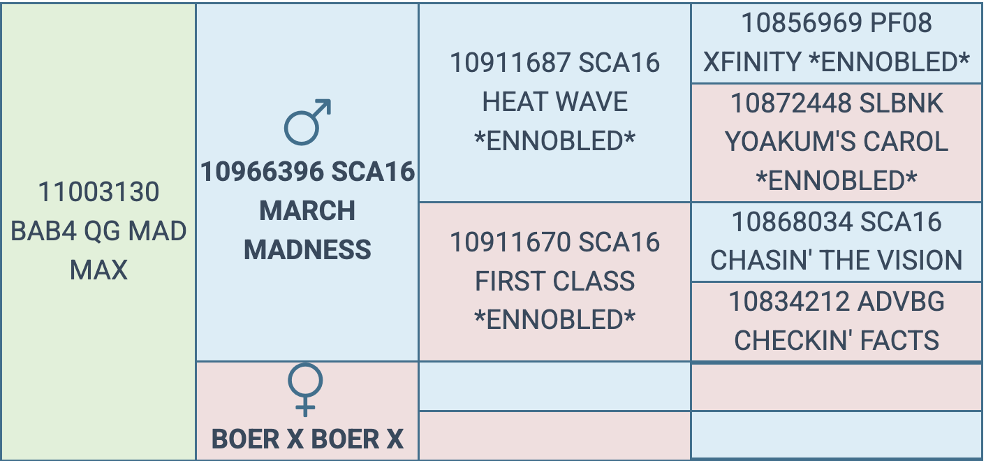 Screenshot 2026-03-12 at 5.36.04 PM